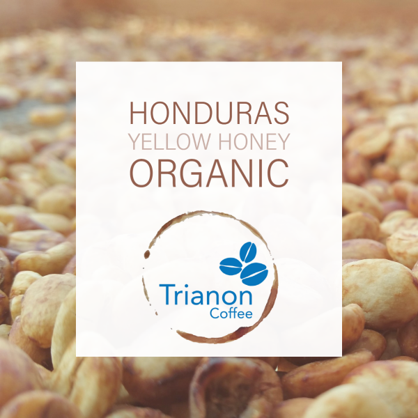 Honduras Yellow Honey Fair Trade Organic Coffee
