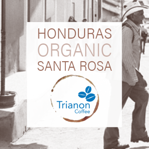 Honduras Organic Santa Rosa