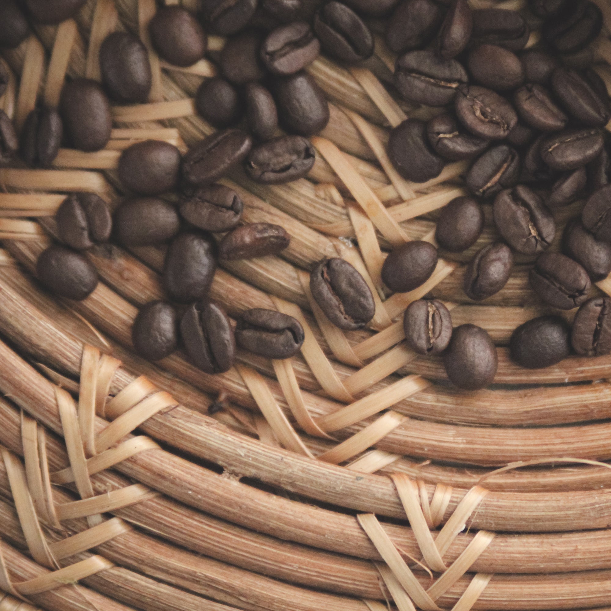 Organic Timor-Leste Coffee to Your Door