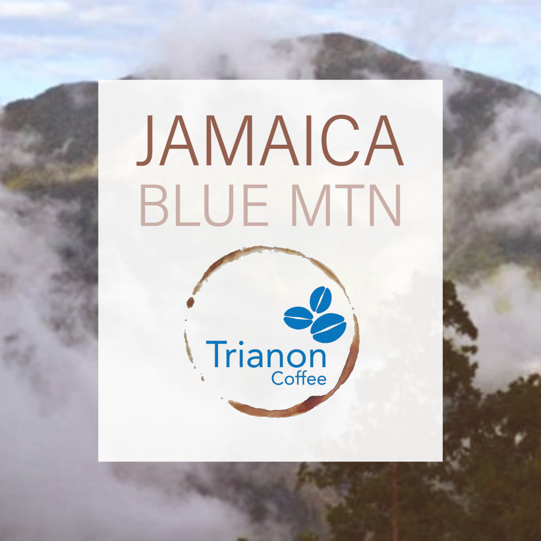 A graphic image featuring the text 'JAMAICA BLUE MTN' along with the logo of Trianon Coffee, set against a backdrop of a mountainous landscape with clouds.