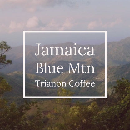 Jamaica Blue Mountain