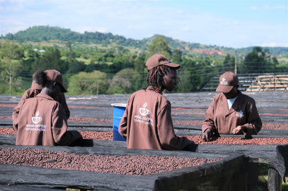 Kenya Natural