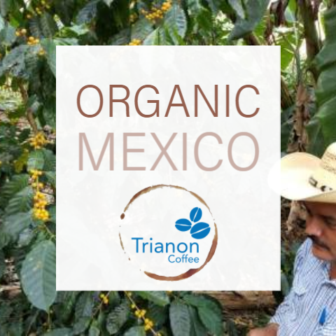Premium Mexico Organic Fair Trade Coffee to Your Door