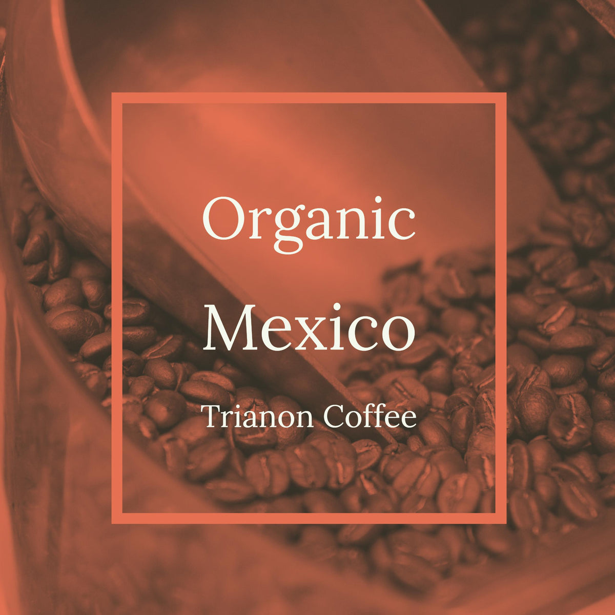 Mexico Organic Fair Trade Coffee Home Delivery