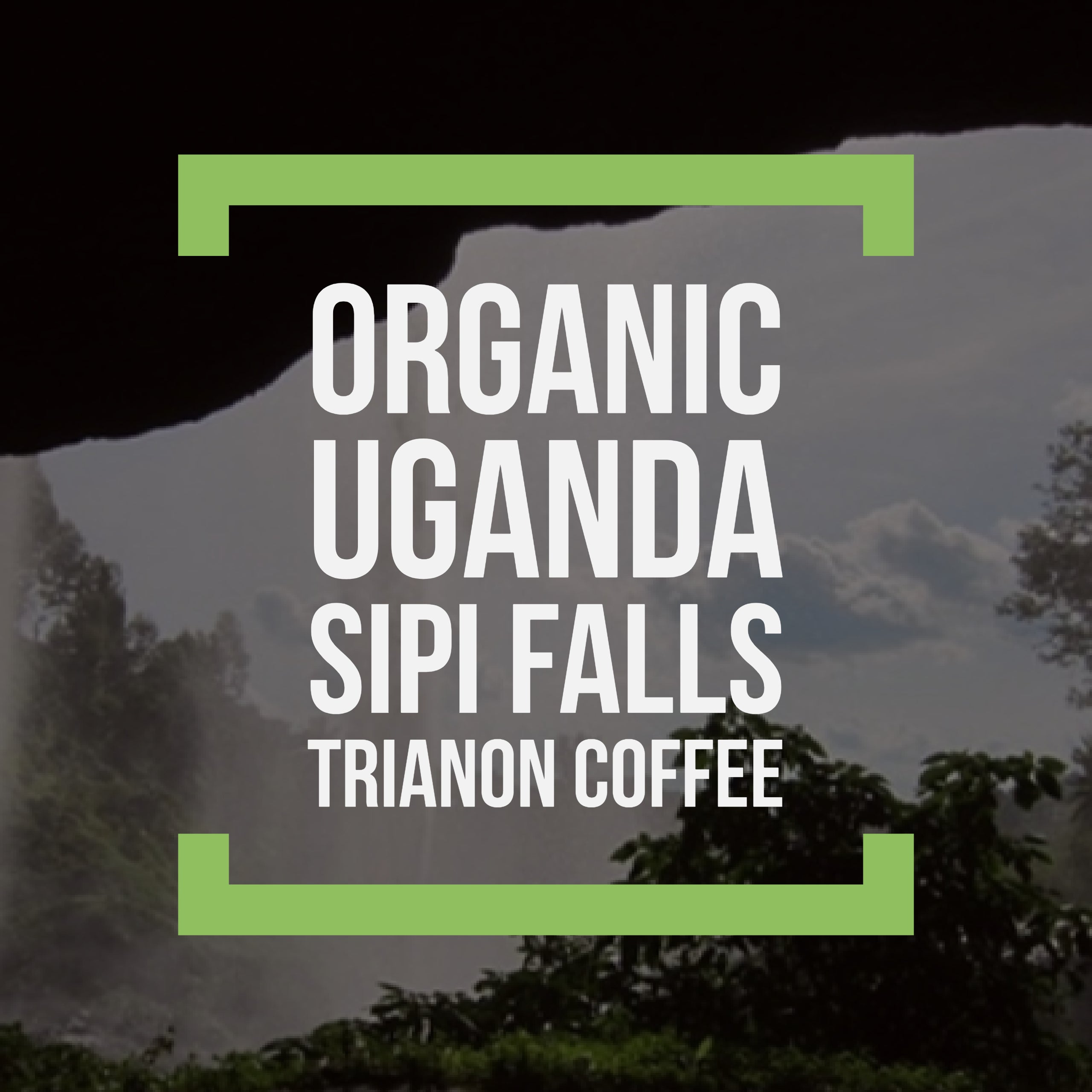 Uganda Organic Sipi Falls RFA UTZ