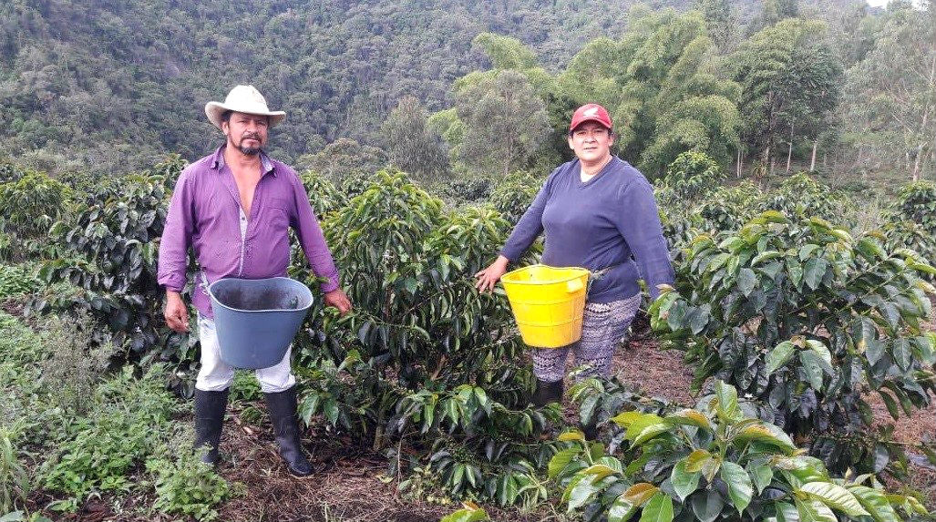 Colombia Natural