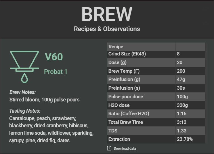 Costa Rica Black Honey Process Coffee Brews a Delicious Pour-Over with a Hario v60 and this recipe.