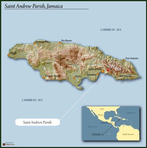 Jamaica Blue Mountain