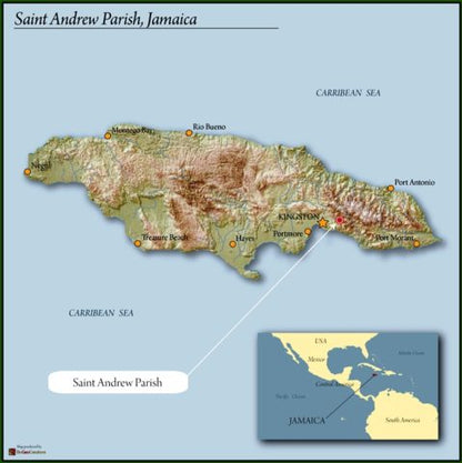 Jamaica Blue Mountain