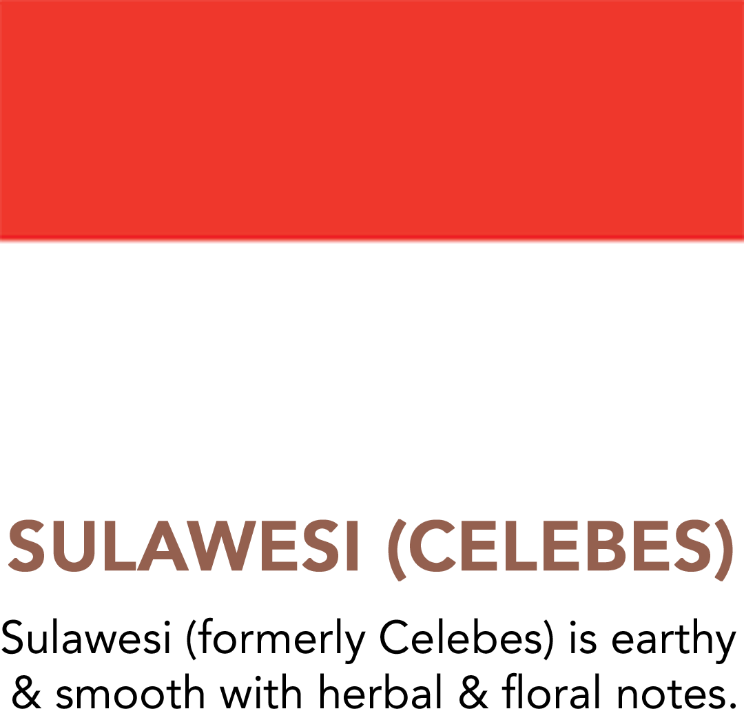 Premium Sulawesi Coffee