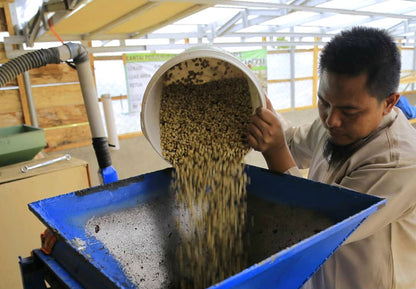 Sumatra Natural Coffee Home Delivery