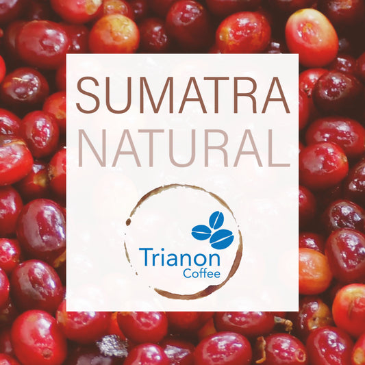 This fruity natural process Sumatra Coffee has sweet notes of passion fruit, kumquat, and bubble gum. As long as our Sumatra "Supervolcano" Honey Processed Coffee is out of stock, this is a great alternative for a sweet, natural brew. 