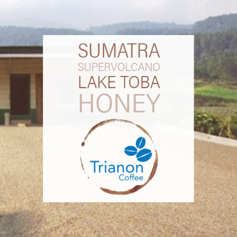 Sumatra Supervolcano Lake Toba Honey