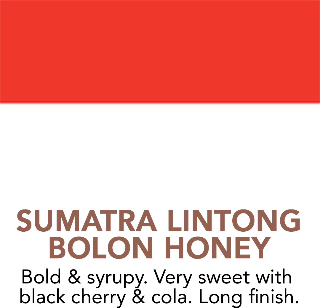 Sumatra Lintong Sipangan Bolon Honey Processed Coffee