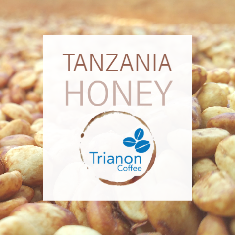Tanzania Honey