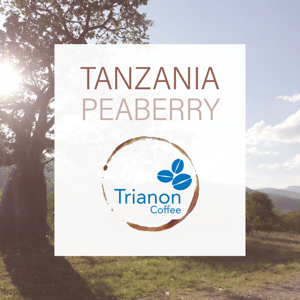 Tanzania Peaberry
