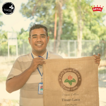Timor-Leste Eratoi Ermera Fully Washed Raised Bed Crown Jewel is sourced from family-owned farms organized around Café Brisa Serena (CBS), which operates in in Letefoho sub-district of the Ermera municipality, Timor-Leste.