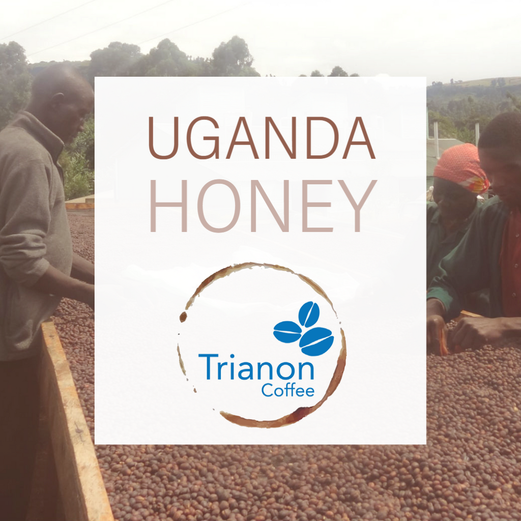 Uganda Honey Organic Coffee to Your Door