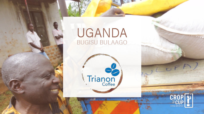 Uganda Bugisu Bulaago Trianon Coffee wide product image