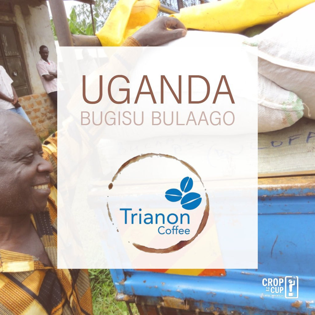 Uganda Bugisu Bulaago Trianon Coffee square product image