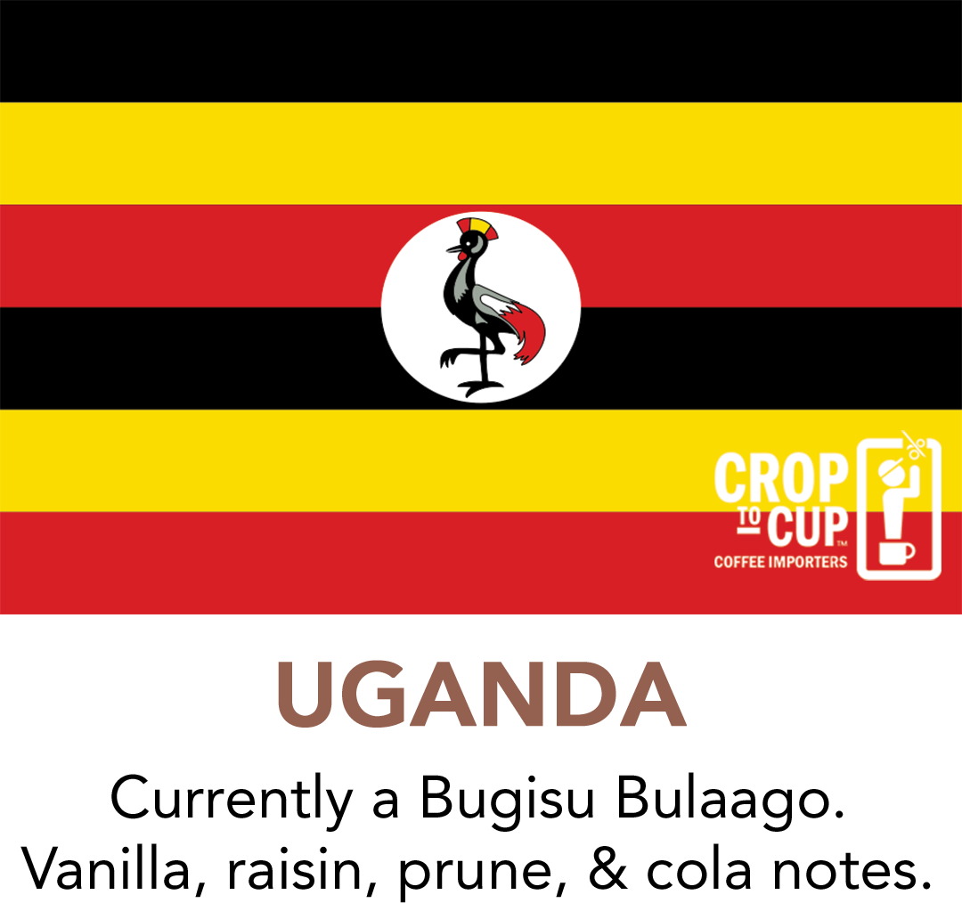 Uganda Bugisu Bulaago Trianon Coffee