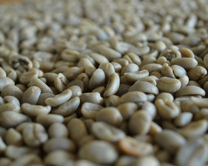 Peru Organic