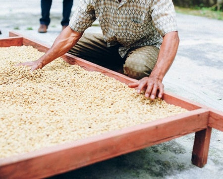 Bali Organic Kintamani RFA
