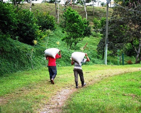 Colombia Dark
