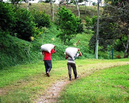 Colombia Dark