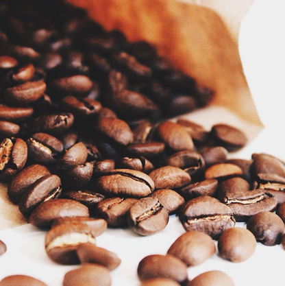 Locally roasted Premium Guatemala Honey Processed Coffee beans spilling from a paper bag.