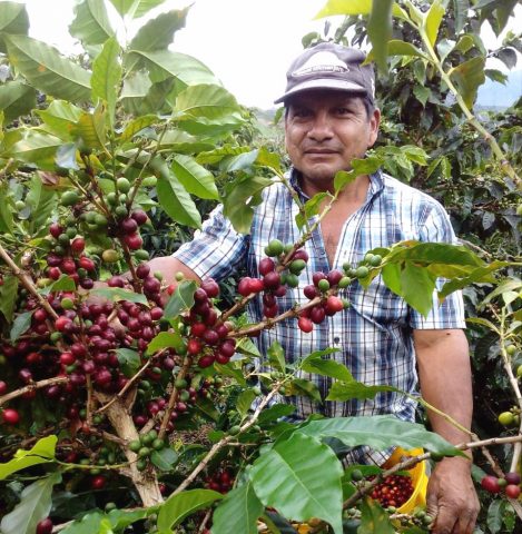 Colombia Medium Roast | Locally Roasted in Austin | Fast Shipping