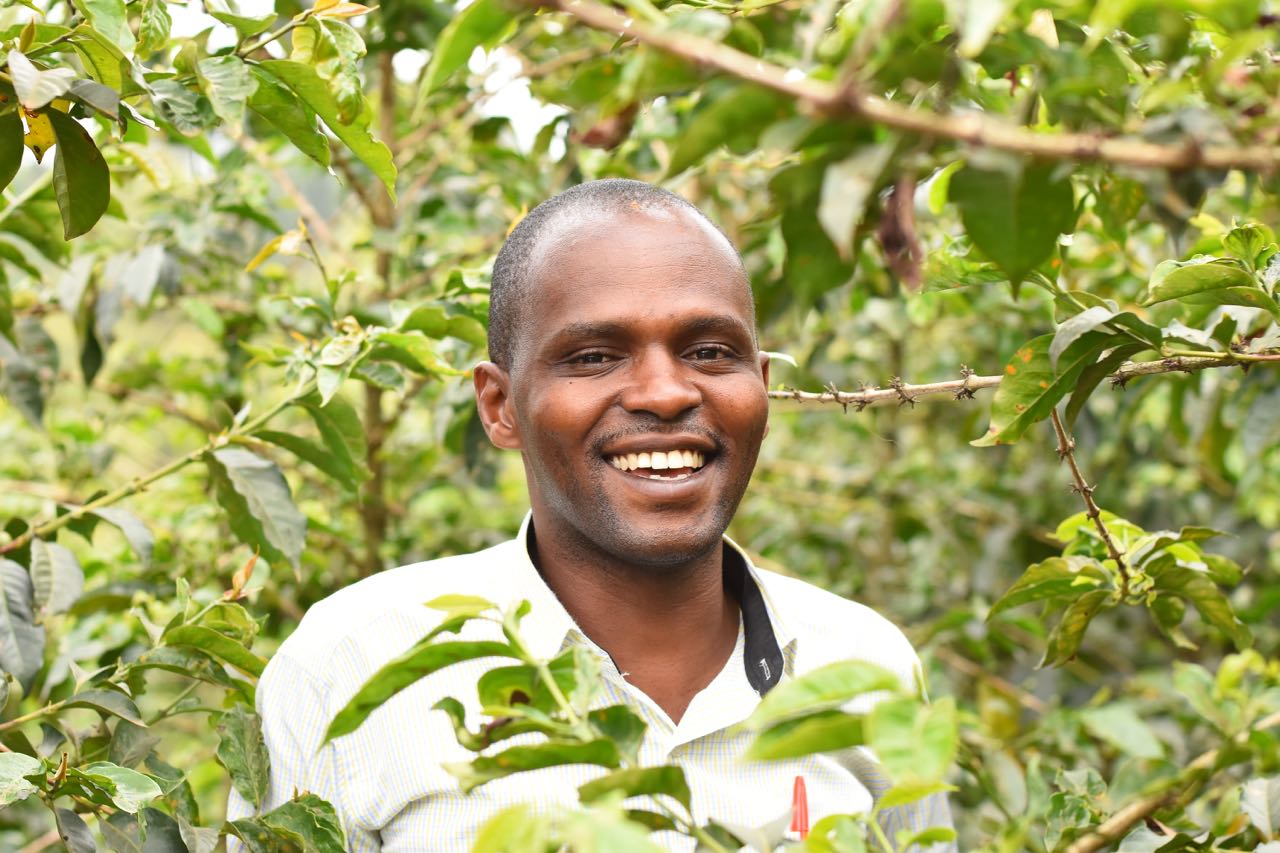 Kenya Kanake coffee production image courtesy of Crop to Cup