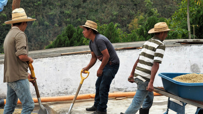 Guatemala