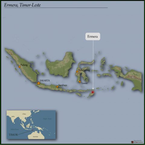Premium Timor-Leste Organic Coffee