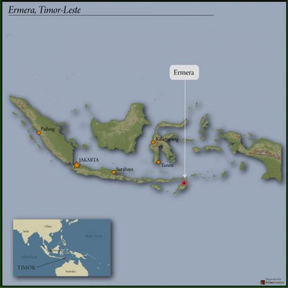 Premium Timor-Leste Organic Coffee
