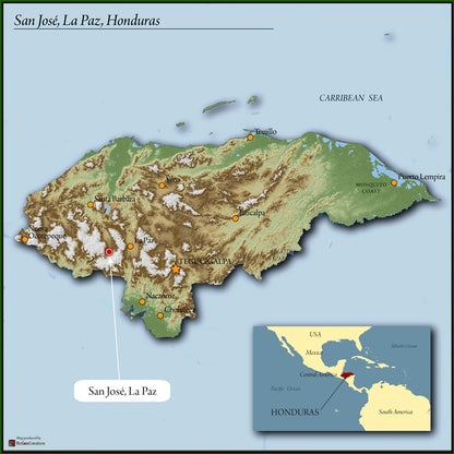 Honduras Yellow Honey Fair Trade Organic Coffee